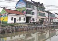 金山区亭林镇金明村:深化人居环境整治 绘就美丽乡村图景 金山区亭林镇金明村:深化人居环境整治 绘就美丽乡村图景