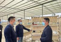 查酸菜、红薯粉丝粉条等 重庆开展食品安全排查整治工作