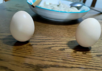 春分立蛋更容易?取决于技巧的熟练度