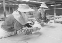 稳住生产保工人饭碗 南安市石企抗疫发展两手抓