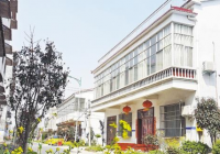 扶沟县扶亭街道办事处八里庙村：从“环境美”向“生活美”转变