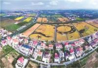 下月起“3严抓1改造” 涉及秸秆焚烧、耕地乱占、人居环境等