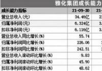 2540万元60%的股权 雅化集团拟控股加拿大锂矿 2540万元60%的股权 雅化集团拟控股加拿大锂矿