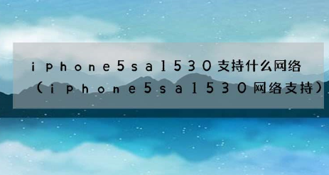 iphone5sa1530支持什么网络？联通是FDD-LTE