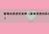 霍尊的爸爸是谁啊？霍尊亲手送女友进监狱你怎么看？