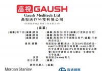 高视医疗向港交所提交上市申请 大摩、海通国际为其联席保荐人 高视医疗向港交所提交上市申请 大摩、海通国际为其联席保荐人