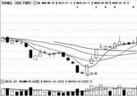 连续反弹激活市场做多热情 天齐锂业(002466)被机构追高买入