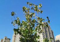 王健林背后的关系网都有谁？王健林做人做事真的没得说