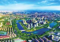 河南如何加快开放强省建设？5年内再新设企业8万家