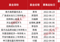 股市回暖公募发行升温现“顶流” 陈皓新品募集或创年内纪录