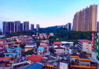 杭州临安区:多方发力资源联动  为临安农产品搭建产销桥梁 杭州临安区:多方发力资源联动  为临安农产品搭建产销桥梁