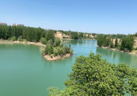 碧绿湖畔鱼鸟共生 当好世界文化景观遗产西湖的“守护者” 