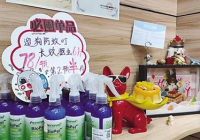 宠物“降温经济”悄然升温 泳池需提前预约消暑物品热销