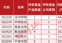 541只A股被基金“独门”重仓 宁波华翔的被持股市值最高