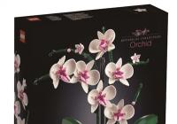 大件热门产品涨价500元等 乐高涨价谁给的底气？