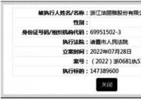 洁丽雅新增3条被执行人信息 声称要上市已超10年