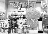 绣球“艳压”玫瑰 挑起了今年七夕鲜花消费的大梁