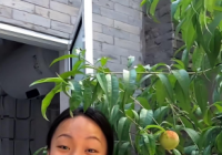 “疯产姐妹”宣布解散 4400万粉丝账号变成张小花的私人账号