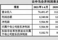 云中马上会 过度依赖政府补贴、销量减少仍要大幅扩产等