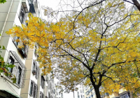 回笼资金、弥补亏损等 四川长虹等近10家公司变卖房产