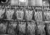 养生成奶茶品牌新潮流 人参新茶饮的故事还能讲多久？