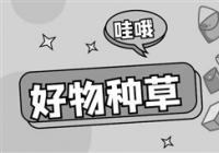 虚假种草笔记频现的背后 损失的是整个电商行业的信誉 虚假种草笔记频现的背后 损失的是整个电商行业的信誉