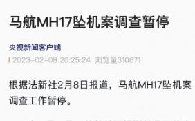 马航MH17坠机案调查暂停 马航客机坠毁真实原因是什么？