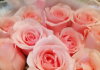 墙壁眼睛膝盖是什么意思？墙壁眼睛膝盖温柔一刀是什么意思？