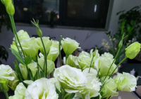 老公出轨变心了怎么办？老公出轨了最聪明的处理方法