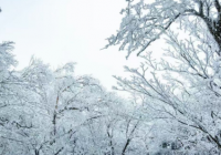 今年将迎“破天荒”冷冬?今年冷冬预测最新官方 今年将迎“破天荒”冷冬?今年冷冬预测最新官方