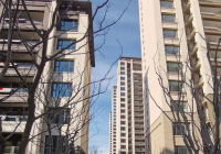 专家:老百姓70%资产在房子上不正确 房地产的本质上是住宅