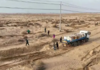 官方通报林场主跪地求水:已安排浇灌 对拟种苗木已采取有效保护措施