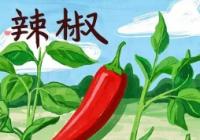 专家“把脉问诊” 壮大辣椒产业