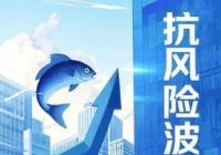 抗风险波动的含义是什么？抗风险波动高好还是低好？