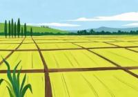 国资央企全力护航春耕好“丰”景