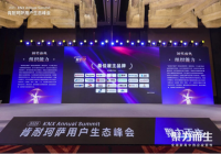 仲利国际荣膺“2025肯耐珂萨星跃奖”，人才理念获行业权威认可