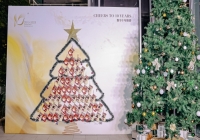 尚臻十载，共启隽致生活新篇章