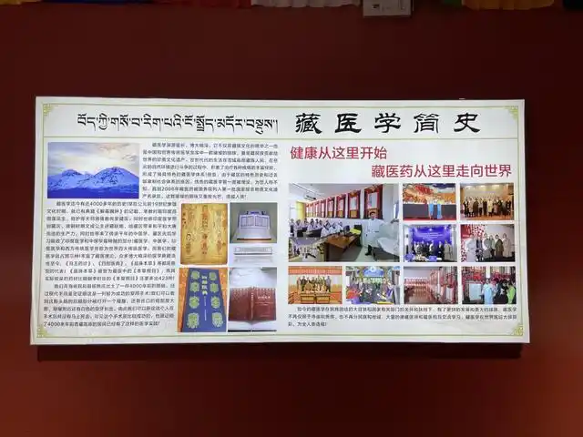 尼玛与阿如拉藏医体系：让千年藏医药智慧惠泽现代健康