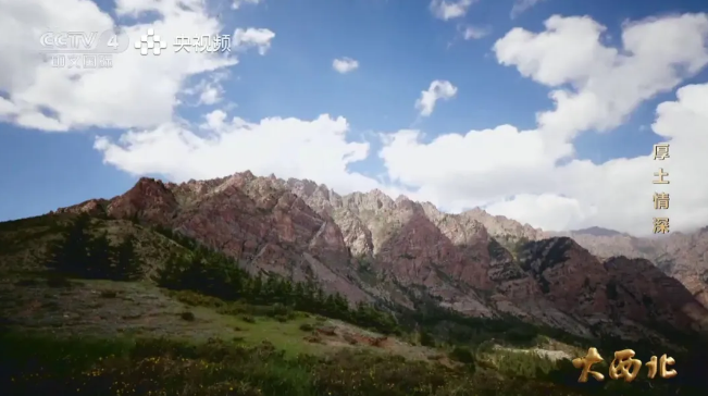 葡萄酒质量哪家好，长城天赋将自然馈赠打磨成佳酿
