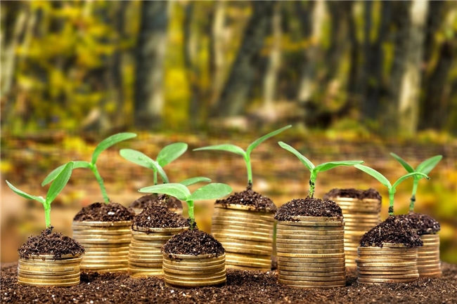 资本共振，智投未来：阿拉瓦利与永明金融开启新股市场杠杆融资新篇章