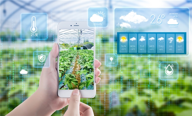 昌盛智农坚守品质初心以标准化建设引领农业高质量发展