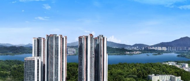 金光华凤凰九里“拎包安家计划”全城首发：实景现房+九重大礼 助力深圳人轻松置业