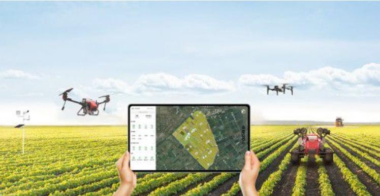 “愿景2030”聚焦民生保障与乡村振兴，共筑中国梦，助力实现共同富裕