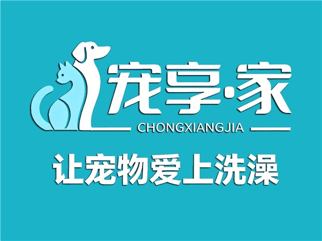 宠享·家智能洗护登顶中山美团三榜第一
