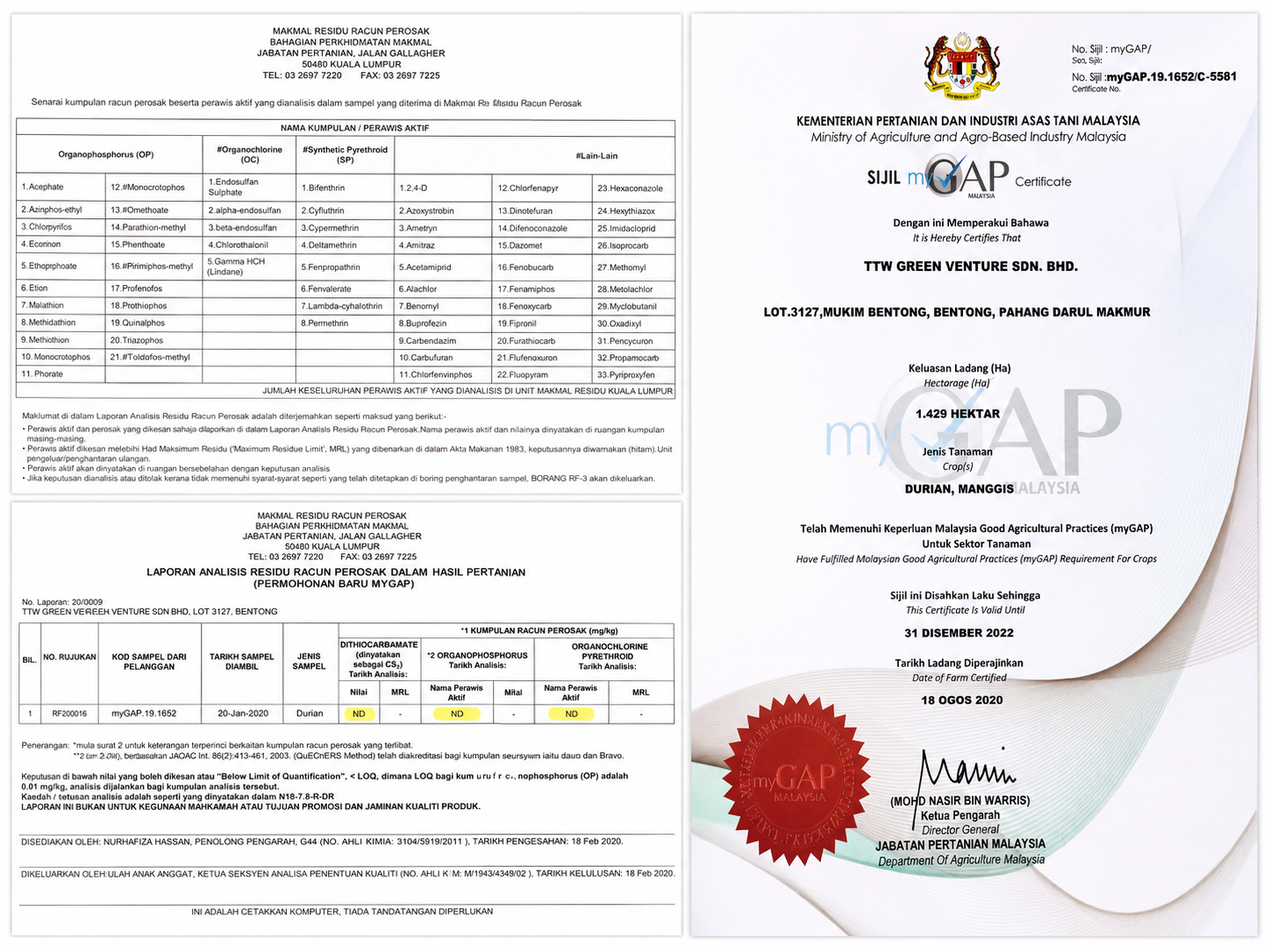 环球果萃签约马来西亚文冬果园 Bentong Durians，推进原产地合作再升级