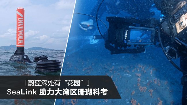DIVEVOLK SeaLink 助力南方报业世界地球日珊瑚科考直播