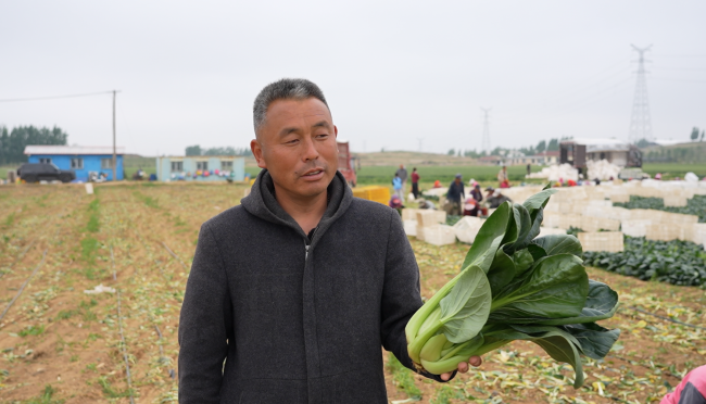 一肥六效，鲁花花生肽肥的化肥替代之路  ——在田间地头实地探访鲁花花生肽肥六大“超能力”