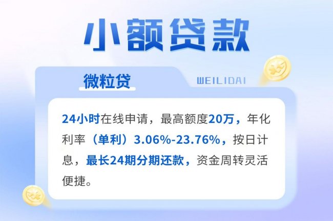 小额贷款使用指南：如何更划算地解决资金需求？