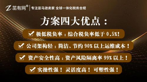 详解茁有网为亚马逊卖家设计全球一体化税务合规方案的全球公司架构