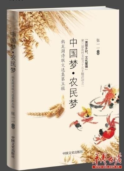 乡村振兴典型人物张一一：农文旅体康融合建设和美乡村